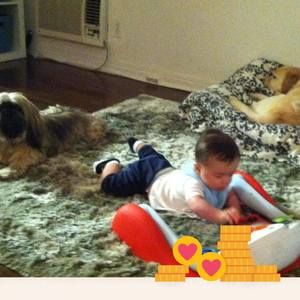 Meet your Posher, Betsy